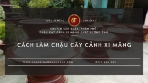 Cách làm chậu cây cảnh bằng xi măng