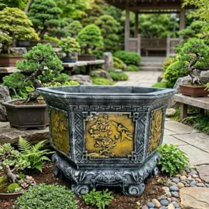 Chậu xi măng lục giác họa tiết vàng đặt giữa vườn bonsai