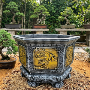 Chậu Xi Măng Lục Giác