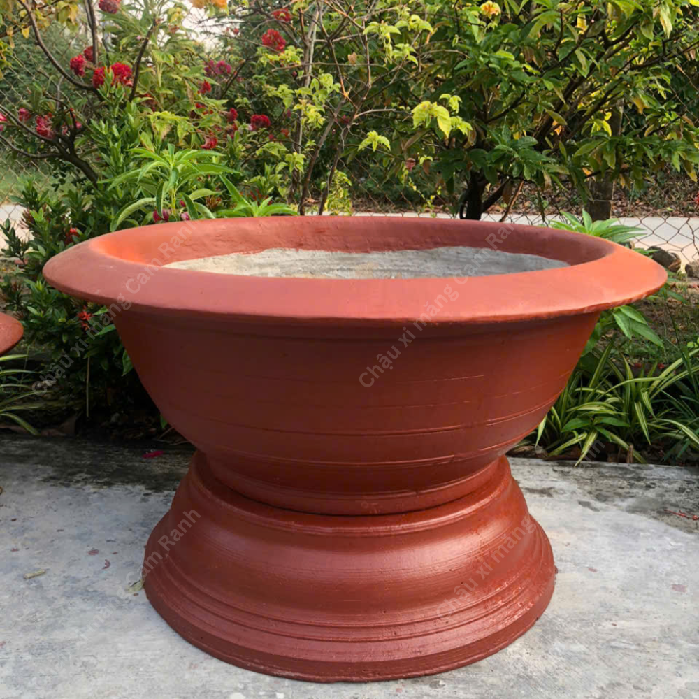 Chậu Xi Măng Màu Đỏ Truyền Thống Trồng Mai