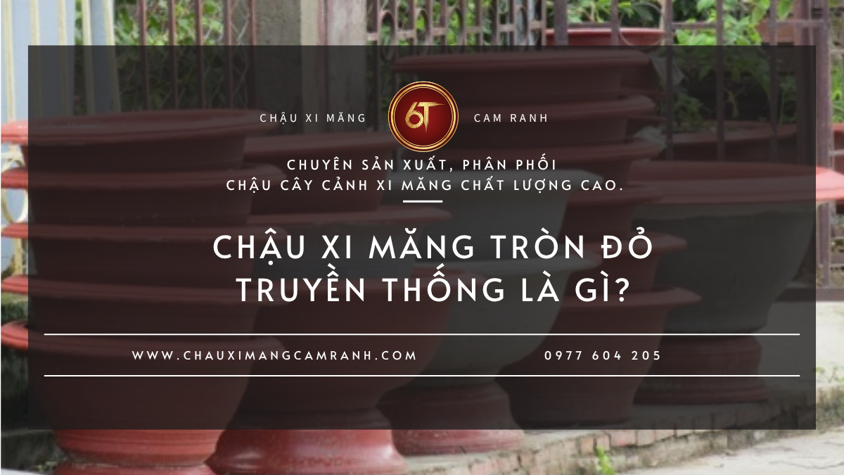 Chậu Xi Măng Màu Đỏ Truyền Thống Trồng Mai