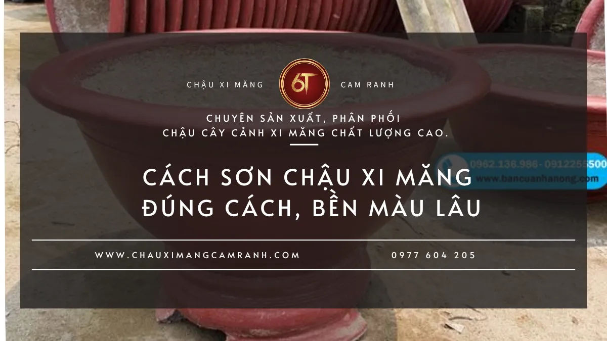Cách Sơn Chậu Xi Măng Đúng Cách