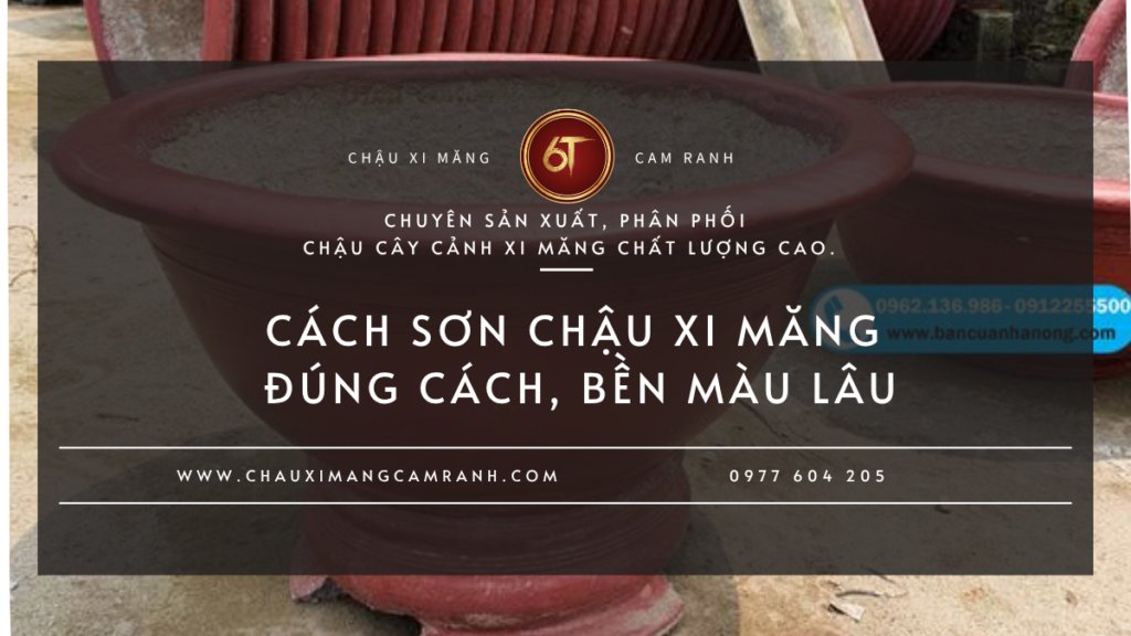 Nuôi Cá Trong Chậu Xi Măng