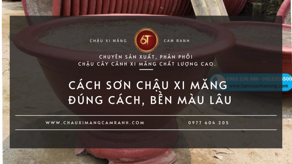 Nuôi Cá Trong Chậu Xi Măng