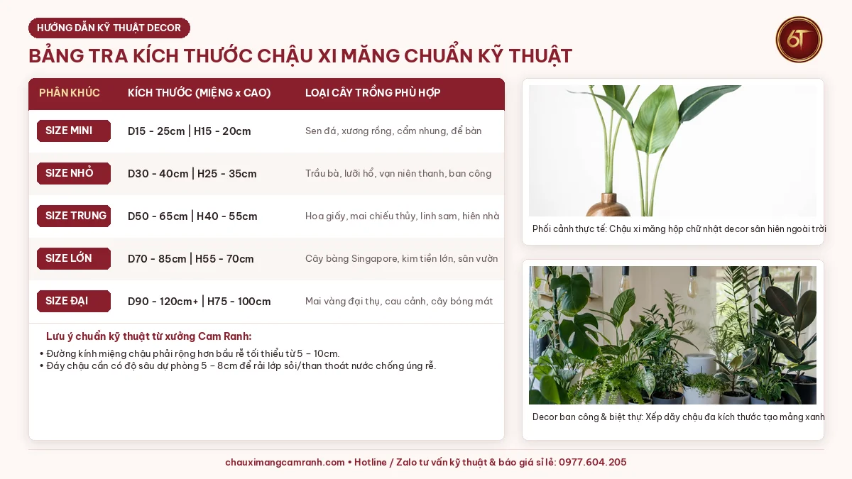 Bảng tra kích thước chậu xi măng chuẩn theo size bầu rễ và loại cây trồng tại Cam Ranh