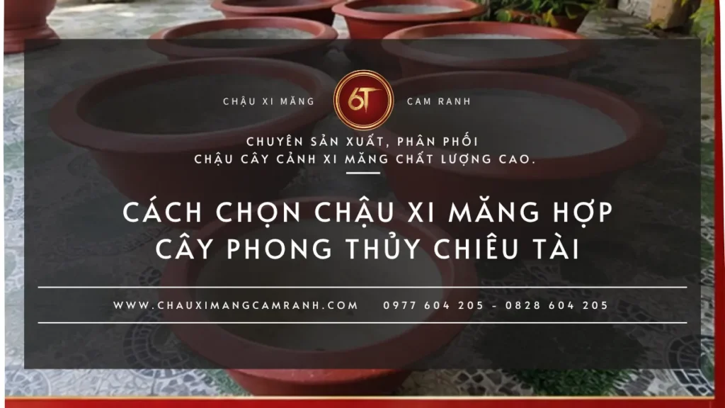 Cách chọn chậu xi măng hợp cây phong thủy chiêu tài