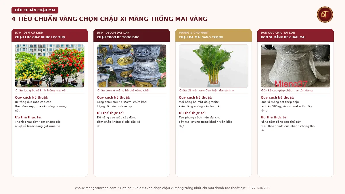 Tiêu chuẩn chọn chậu xi măng trồng mai vàng cách nhiệt chống úng rễ