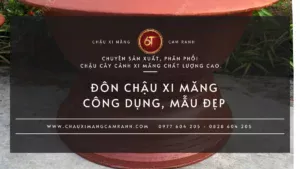 Đôn chậu xi măng: công dụng và các mẫu đẹp