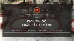 Các kích thước chậu xi măng đỏ truyền thống