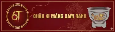 Chậu Xi Măng Cam Ranh
