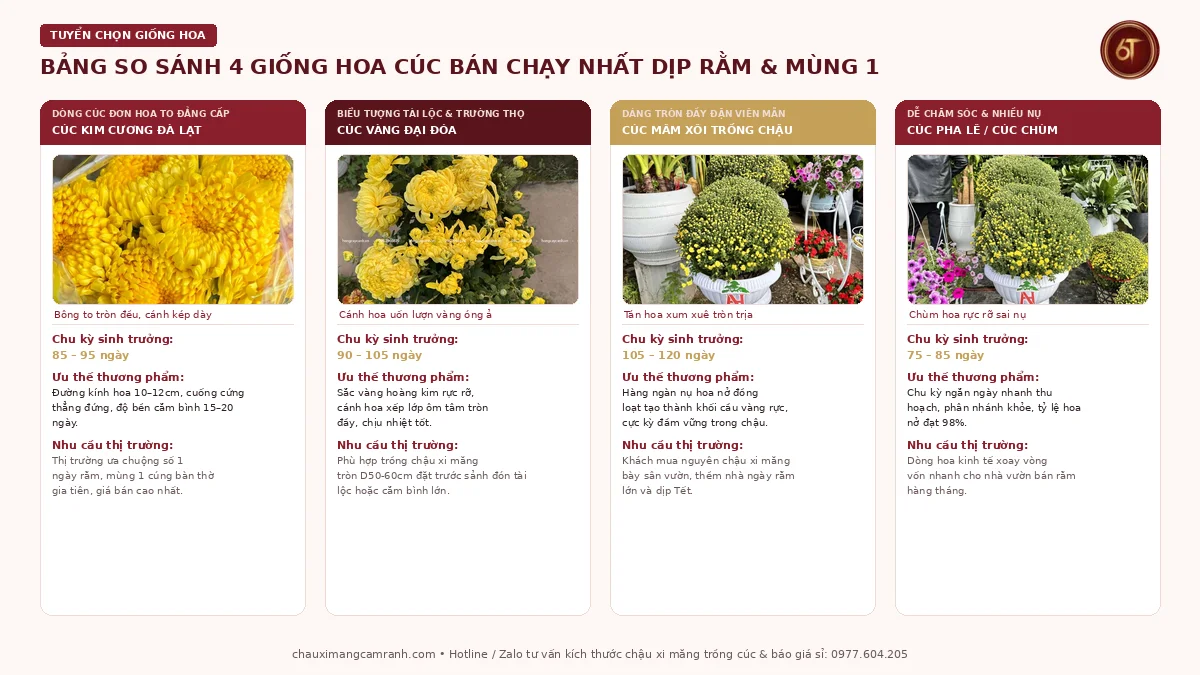 Bảng so sánh 4 giống hoa cúc bán chạy nhất dịp rằm và mùng 1 tại vườn