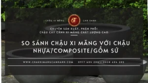 So sánh chậu xi măng với chậu nhựa, composite và gốm sứ