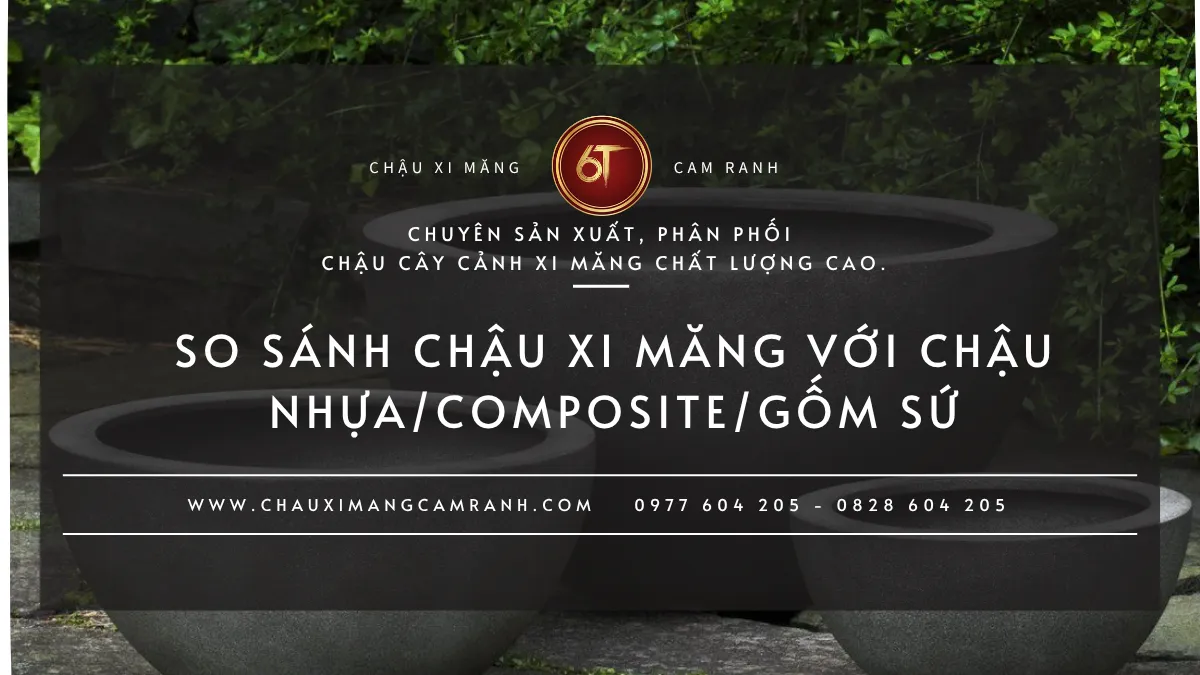 So sánh chậu xi măng với chậu nhựa, composite và gốm sứ