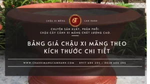 Bảng giá chậu xi măng theo kích thước